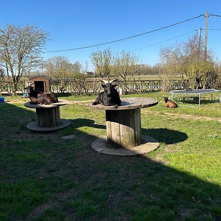 La Ferme Du Paradis Merris ภายนอก รูปภาพ
