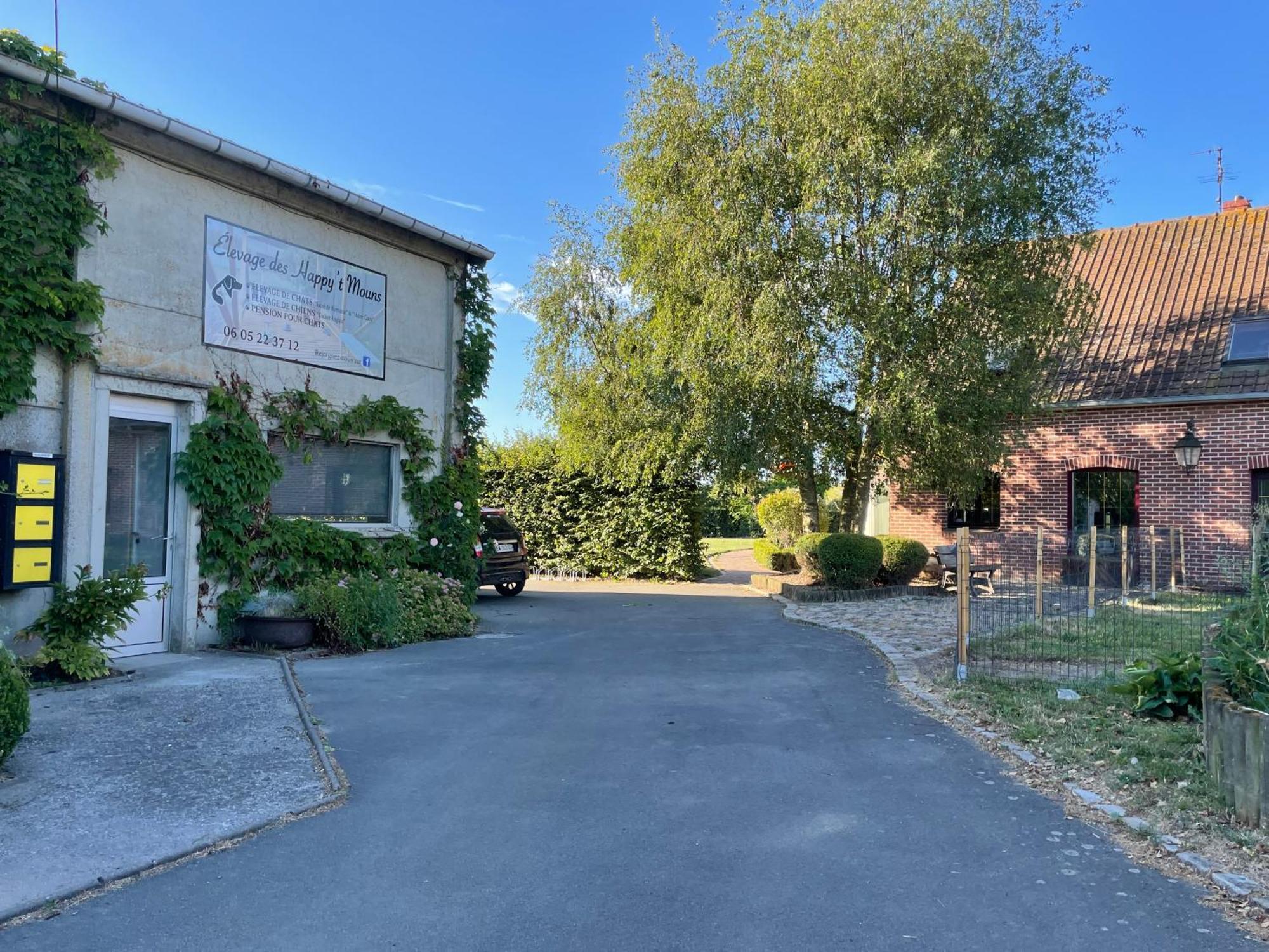 La Ferme Du Paradis Merris ภายนอก รูปภาพ