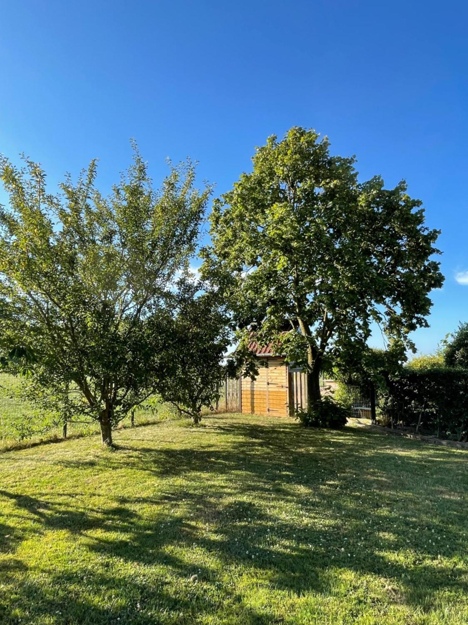 La Ferme Du Paradis Merris ภายนอก รูปภาพ