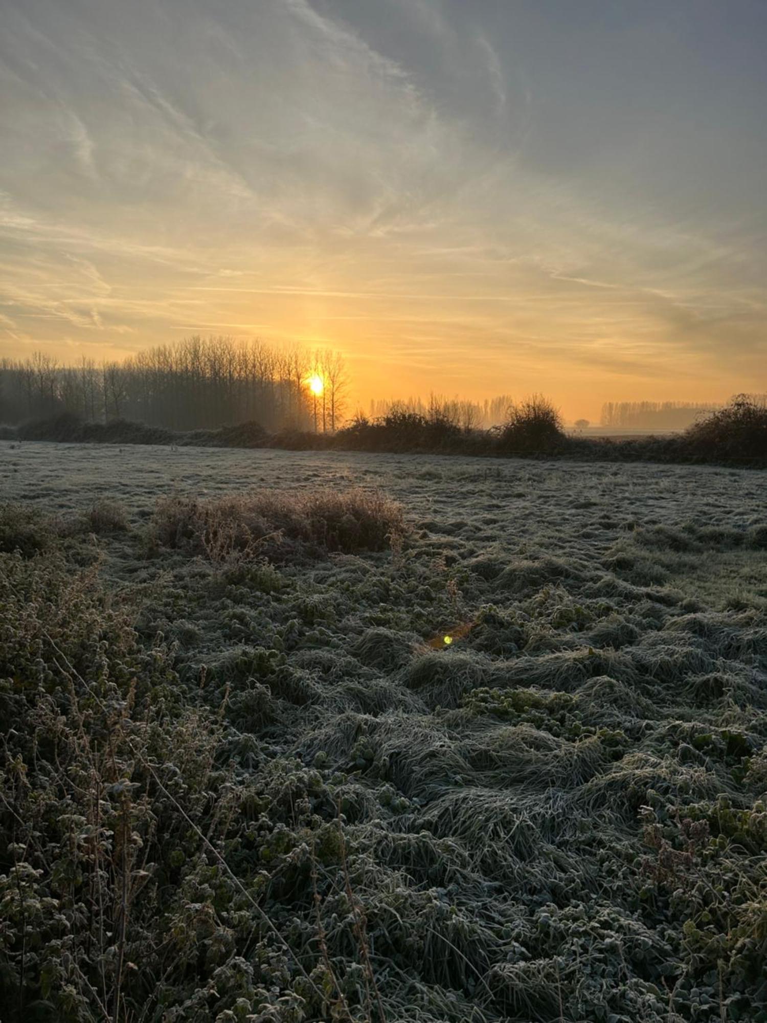 La Ferme Du Paradis Merris ภายนอก รูปภาพ